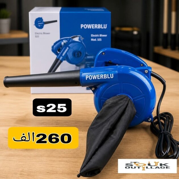 Souffleur Électrique 600W POWERBLU