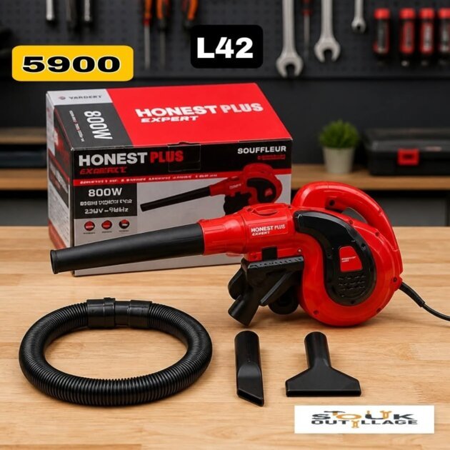 Souffleur et Aspirateur 800W HONESTPLUS YAE2427