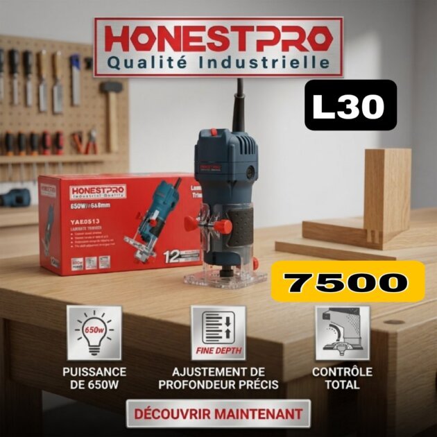 Paumelleuse à Joints de Portes 650W 6-8mm HONESTPRO YAE0513